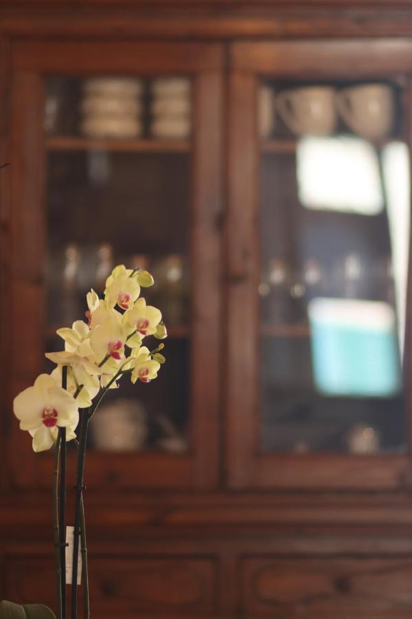 B&B La Taccola กาสเตลนูโอโว ดิ วัล ดิ เชชินา ภายนอก รูปภาพ